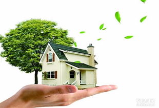 蘇州醛盾環(huán)保 專(zhuān)業(yè)守護(hù)車(chē)內(nèi)與室內(nèi)空氣健康，打造清新呼吸環(huán)境